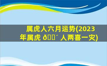 属虎人六月运势(2023年属虎 🐴 人两喜一灾)